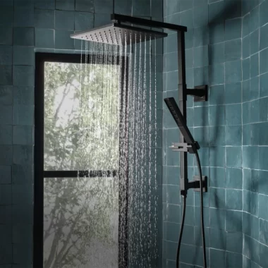 Brizo Shower